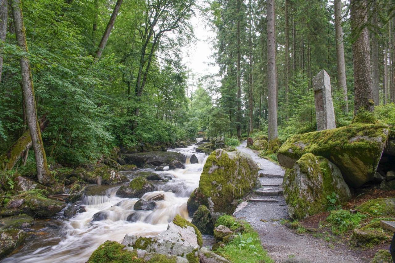Ferienhaus Nordic Harmony Вальдкірхен Екстер'єр фото